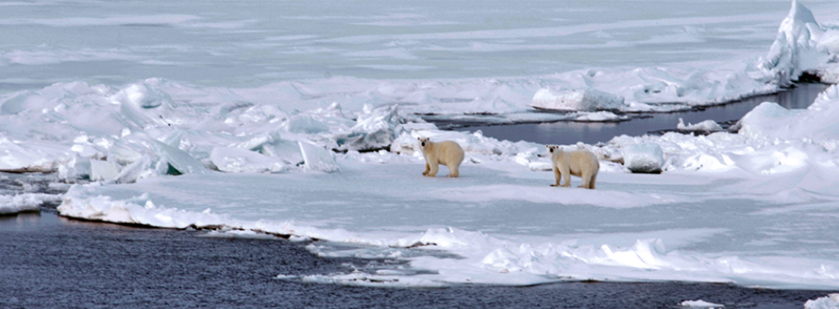 ARCPATH – Arctic Climate Predictions: Pathways to Resilient, Sustainable Societies