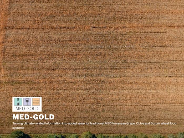 MED-GOLD – Turning climate-related information into added value for traditional MED iterranean G rape, OL ive and D urum wheat food systems