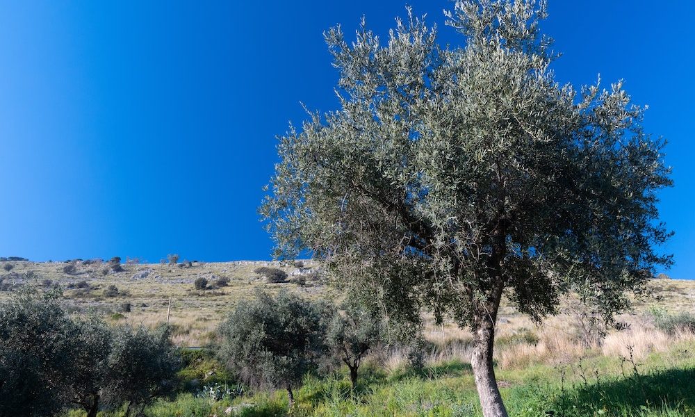 medgold_online_training medgold_online_training